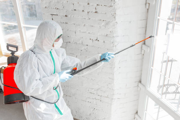 Best Asbestos and Lead Testing During Mold Inspection  in Vandalia, OH